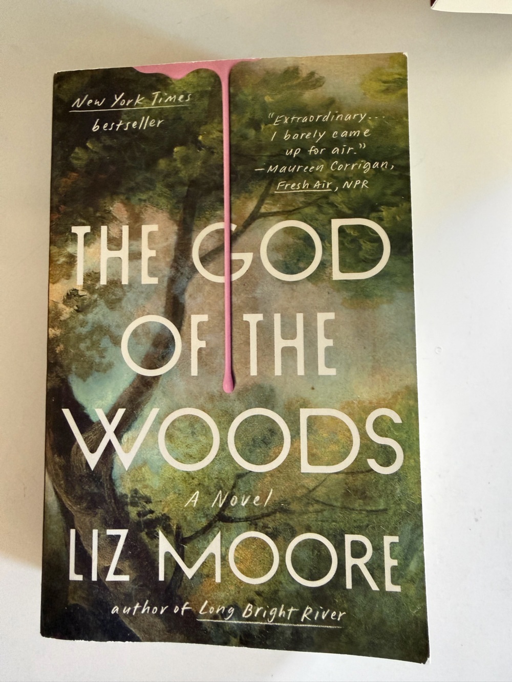 God of the woods book